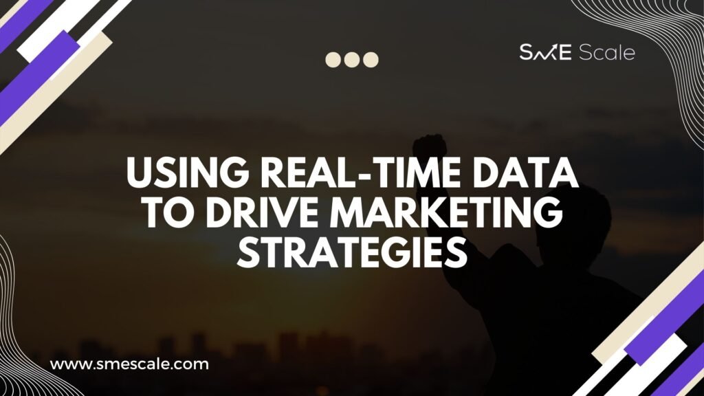 Using Real-Time Data to Drive Marketing Strategies: A Guide for SMEs